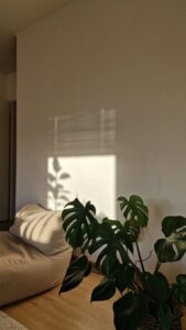 resized_110972