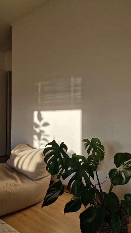 resized_110972